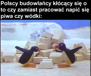 Pingu Posting