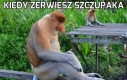 Ten uczuć...