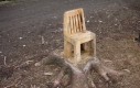 Krzesło wystrugane w drzewie