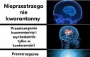 Najlepsze wyjście