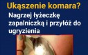 Może lepiej włożyć do ryżu?