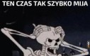 Już szukam profiowego