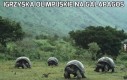 Igrzyska olimpijskie na Galapagos