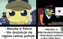 Mem od Mameta. Wstawiony za jego zgodą.
