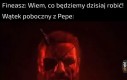 Dziobany jejaku