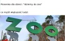 Małpki i te sprawy