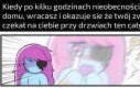 Plot twist: mam tylko jadowitego węża