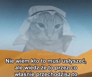 Nie ma za co