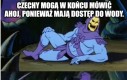 W końcu się doczekali