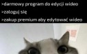 Takie trochę wprowadzanie w błąd
