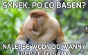 Nie wymyślaj