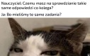 Jak możesz tego nie wiedzieć głuptasie