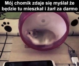 Nic z tego kolego