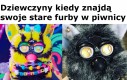 Dwa typy fanów Furby