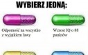 Może będzie chociaż jeden miesiąc bez apokalipsy