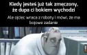 Nie przetrwam tego dnia