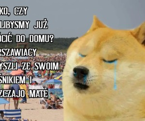 Zostawcie nasze schodki