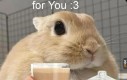 :3