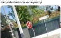 Proszę przestać