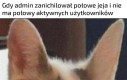 A co się stanie z głosowaniem na jejaka roku?