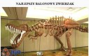 Dinozaur z balonów