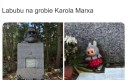 Będzie z tego jakaś plaga egipska
