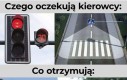 Niestety