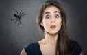 Ciekawostki o pająkach