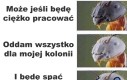 Ta, na pewno