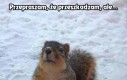 Przepraszam, że przeszkadzam, ale...
