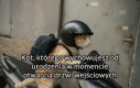 Żegnaj partnerze