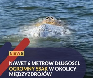 Namierzona