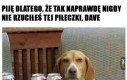 Oszukany