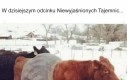 Sam bym się chętnie dowiedział