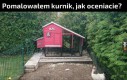 Fajny kurnik