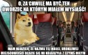 Cierpienie