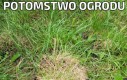 Potomstwo Ogrodu
