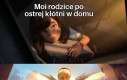 No proszę, proszę