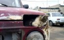 Kotek w samochodzie