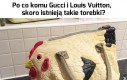 Torebka dla prawdziwej kury domowej