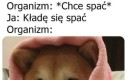 Irytujące