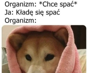 Irytujące