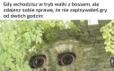 Będę musiał bardzo się postarać