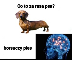 Chodzący dynamit