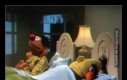 Ernie lubił patrzeć nocą w niebo