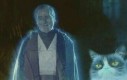 Jako duch mocy grumpy cat wyszkoli niejednego Jedi