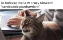 Tak naprawdę wcale nie pozdrawiam