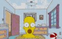 Życie Homera Simpsona
