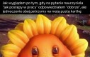 Przyznaję, kłamałem