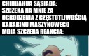 Chihuahua - małe pomioty diabła